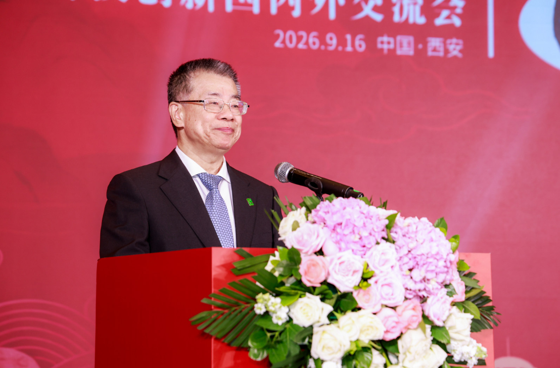 图片6